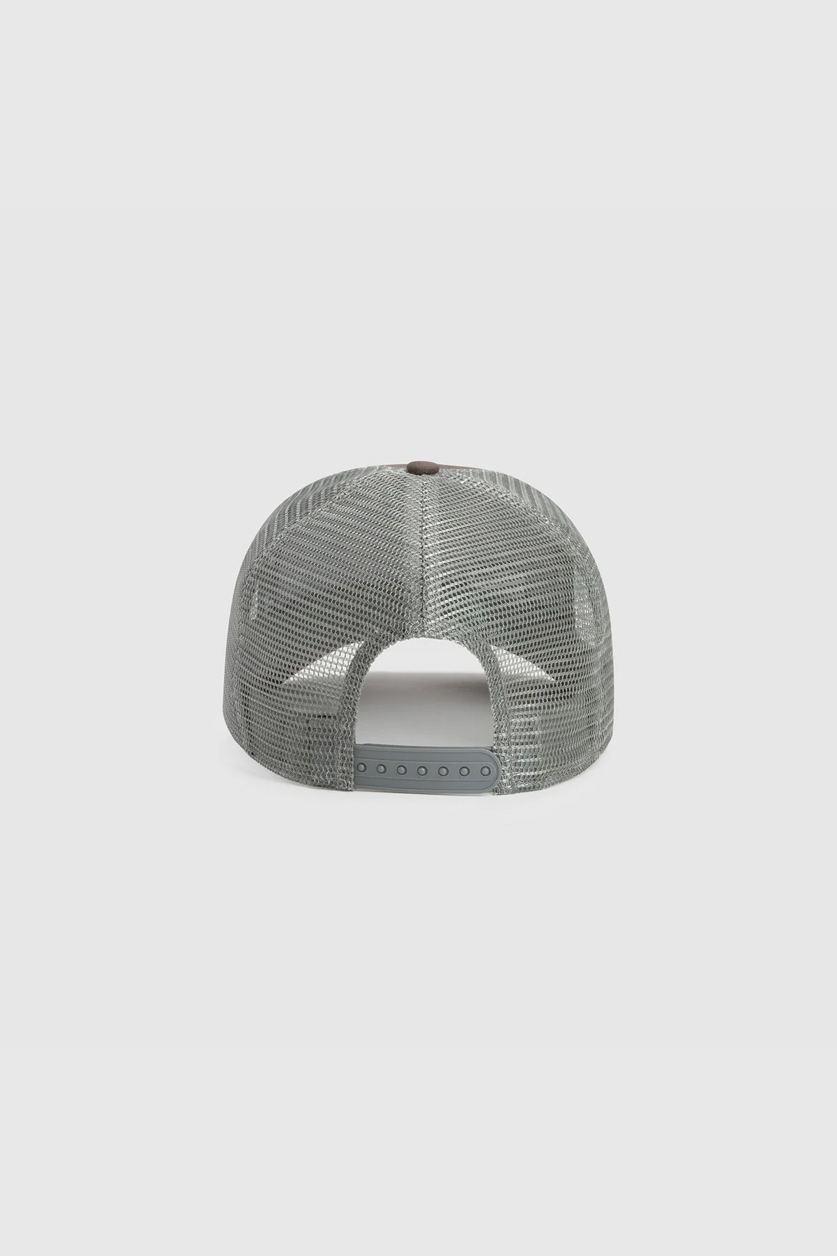 BASIC CT CAP CEMENT - Image 3