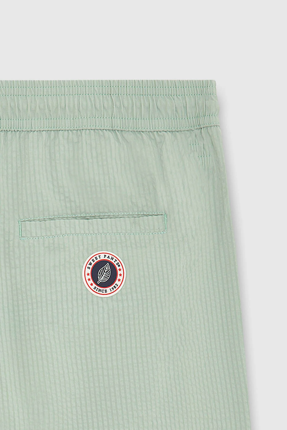 HAPPY STRIPE SAGE - Image 4