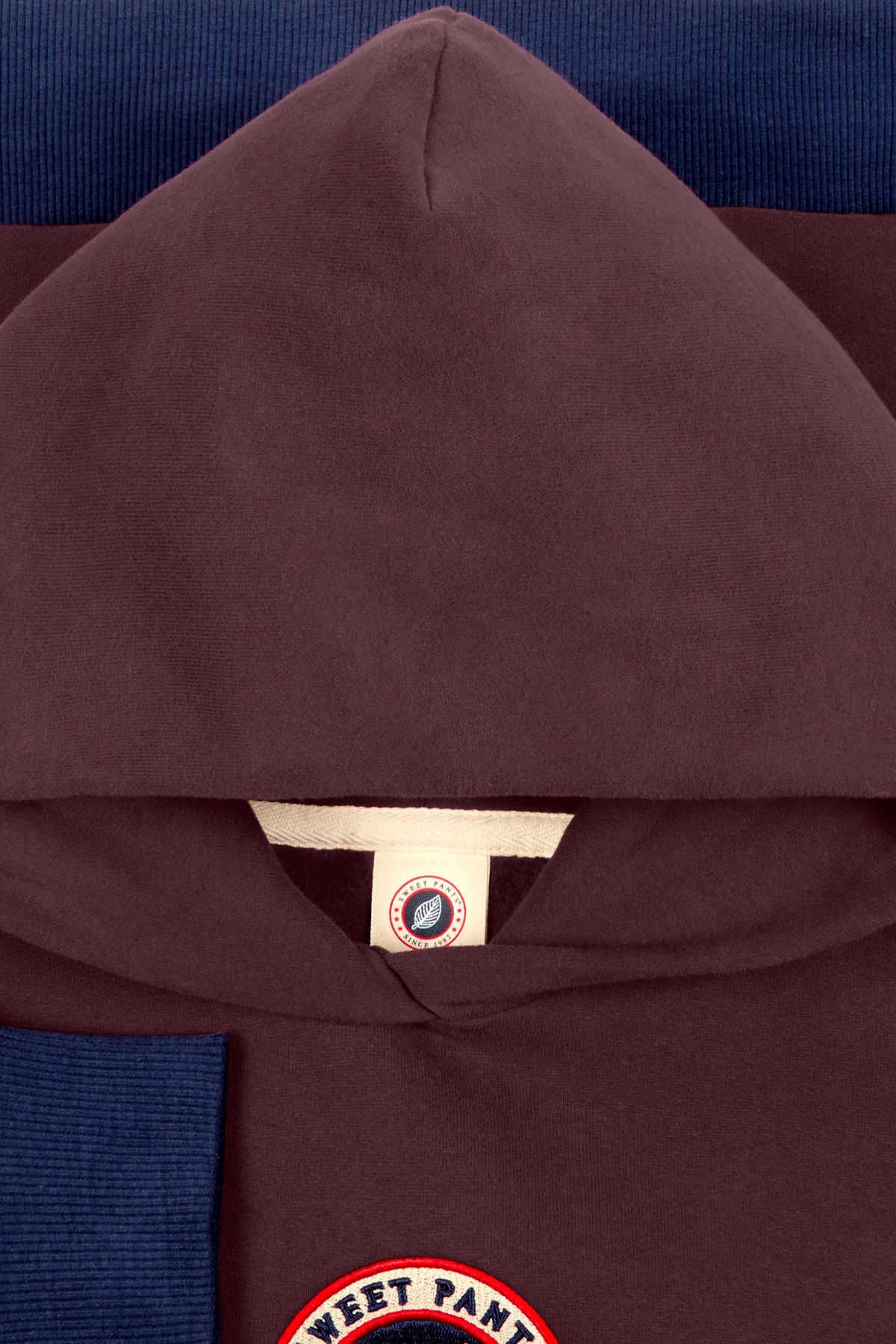 KID COACH HOODIE WINDSOR - Image 3